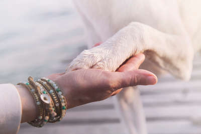 Help your clients say goodbye to their pet