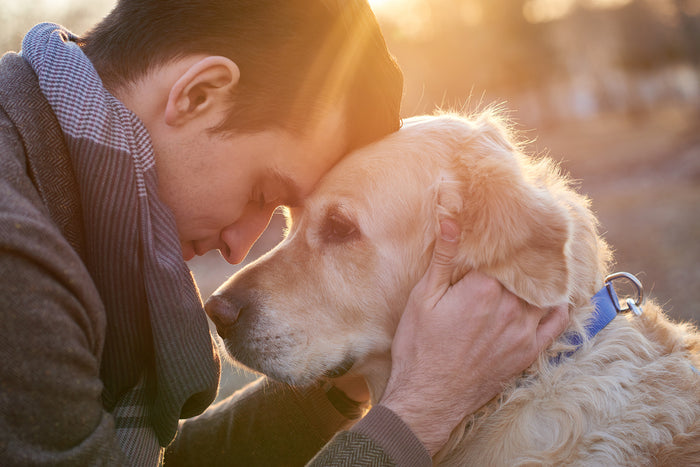 Pet sympathy messages to show your clients you care