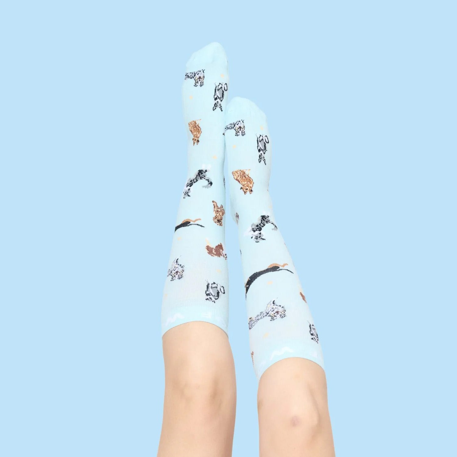 All Compression Socks