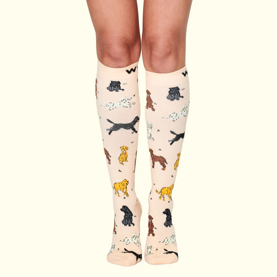 Dr Woof Compression Socks - Labradors