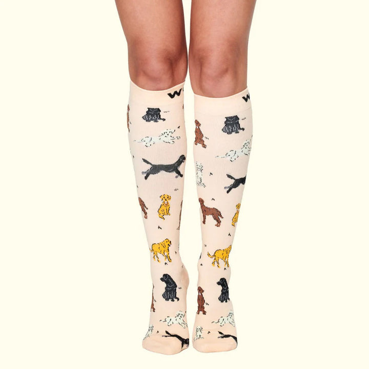 Dr Woof Compression Socks - Labradors