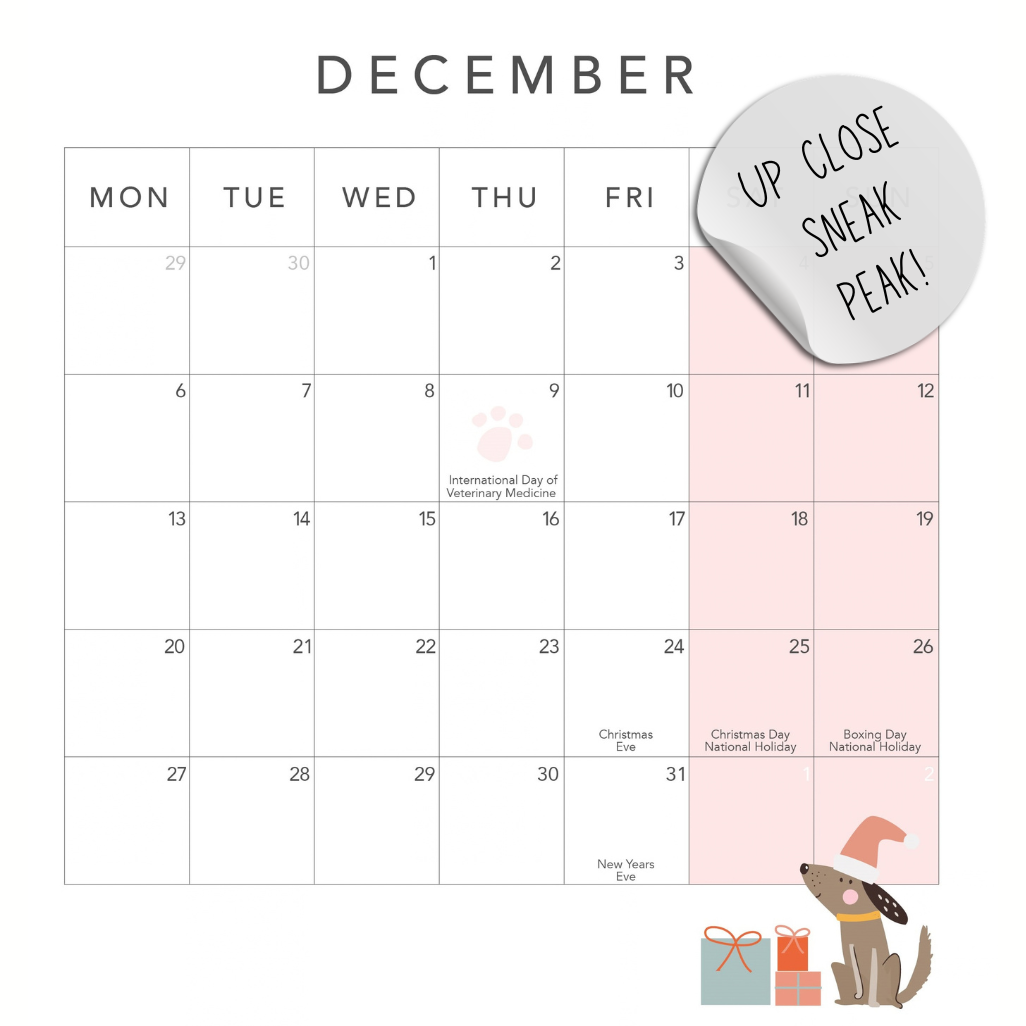 2027 Year Planner - Wall Calendar