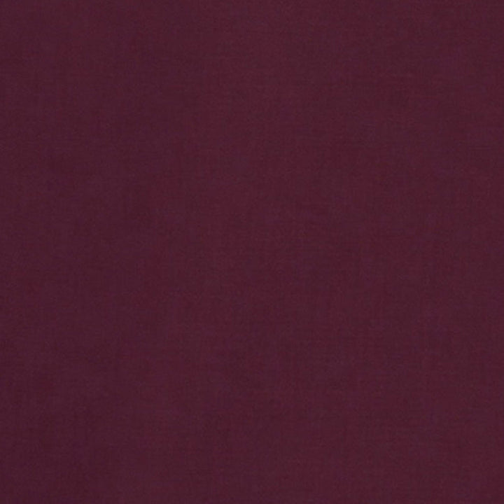 40320 - Mens Fashion Biz Hudson Long Sleeve Shirt