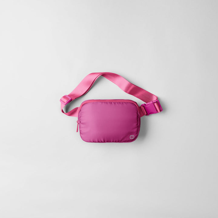 Chatelaine Belt Bag