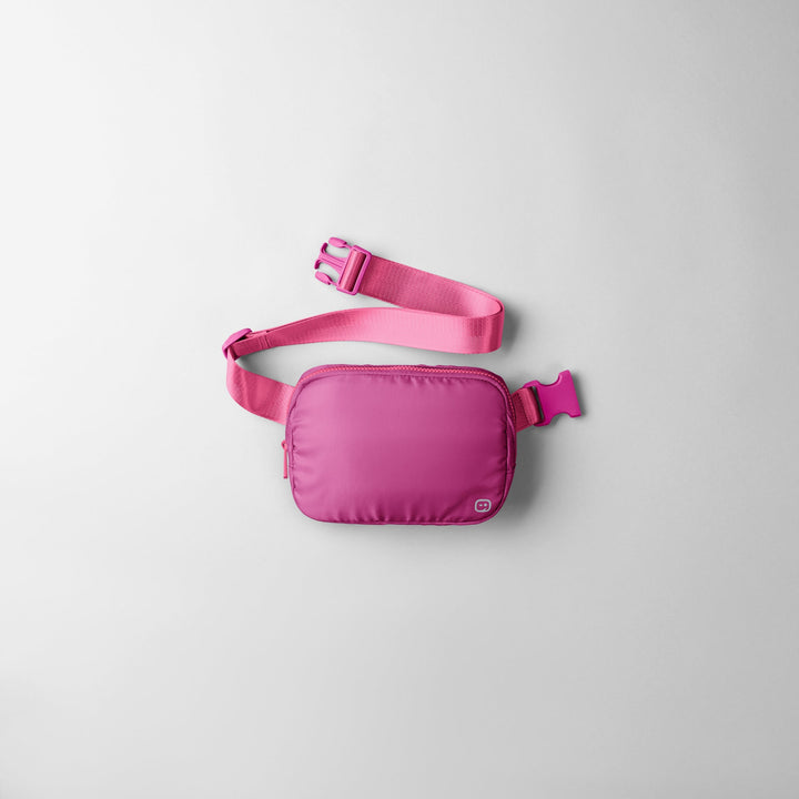 Chatelaine Belt Bag