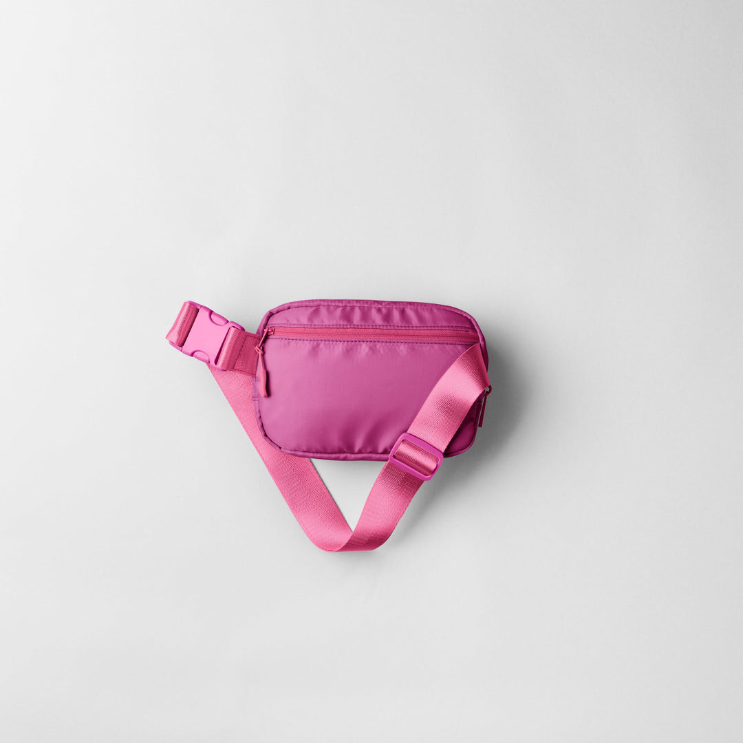 Chatelaine Belt Bag