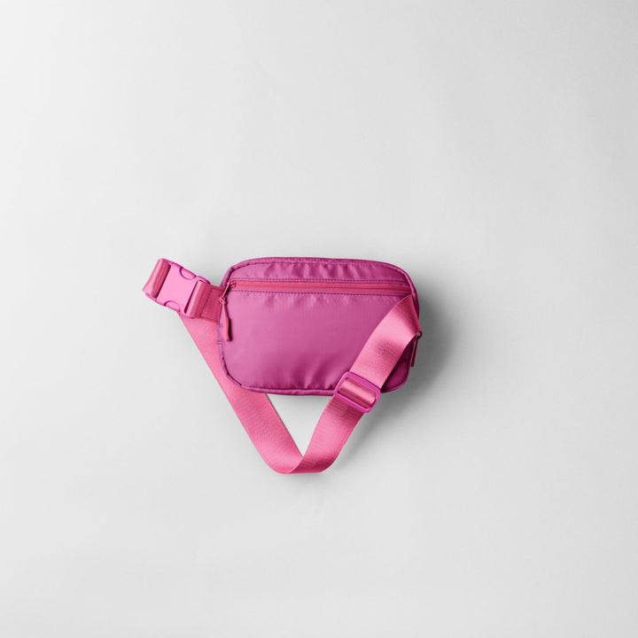 Chatelaine Belt Bag