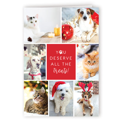 Custom Printed Christmas Card Packs - All the Treats