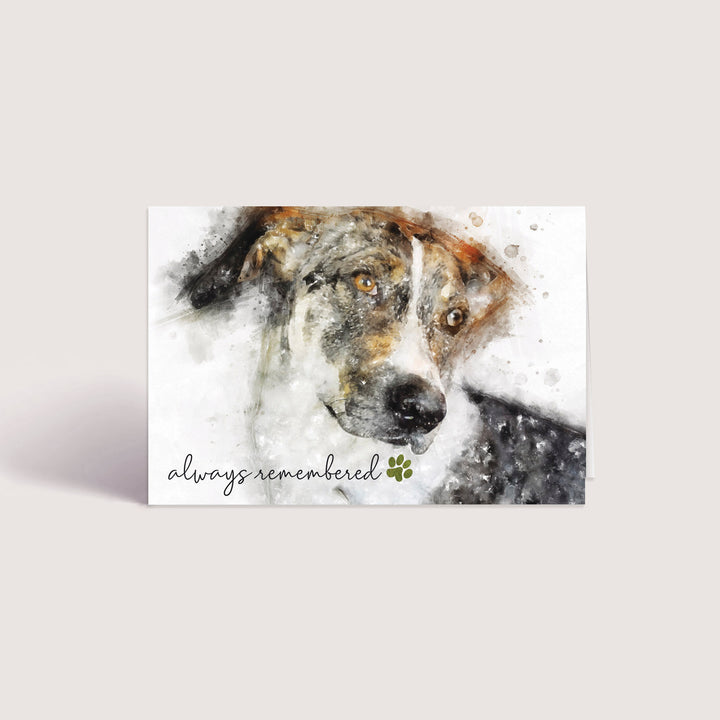 Always Remembered Series 1 - Dog - PACKS