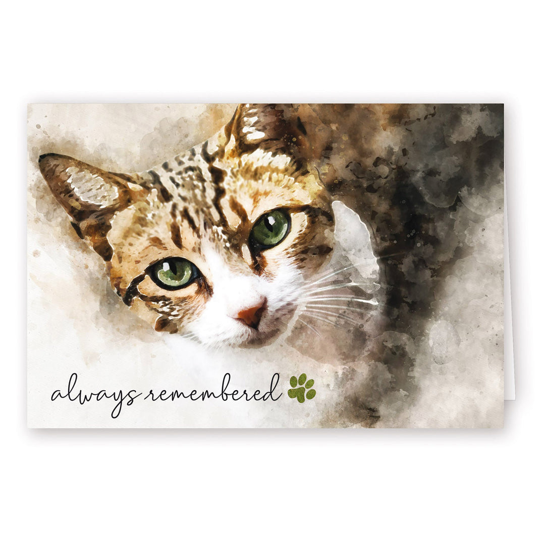 Always Remembered Series 2 - Cat - PACKS