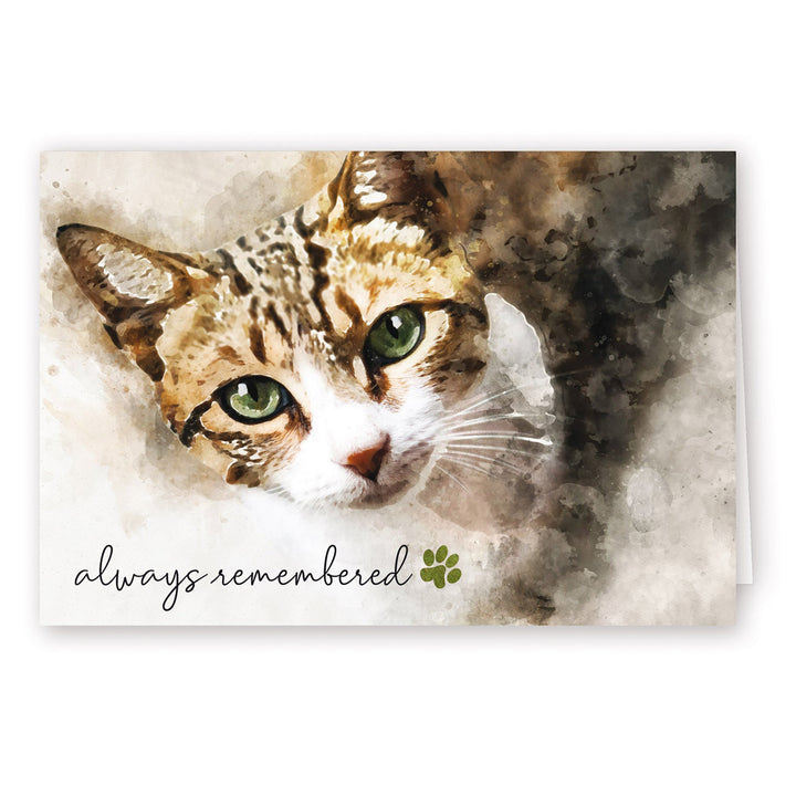 Always Remembered Series 2 - Cat - PACKS