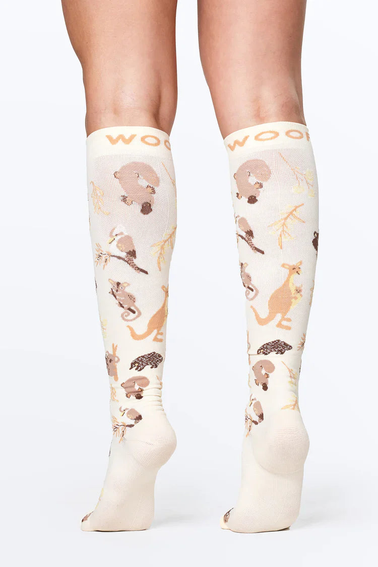 Dr Woof Compression Socks - Aussie Natives