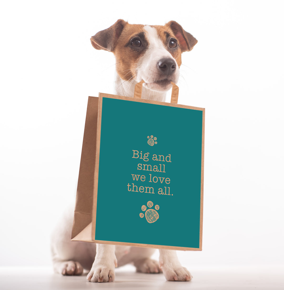 Big &amp; Small Paper Carry Bag