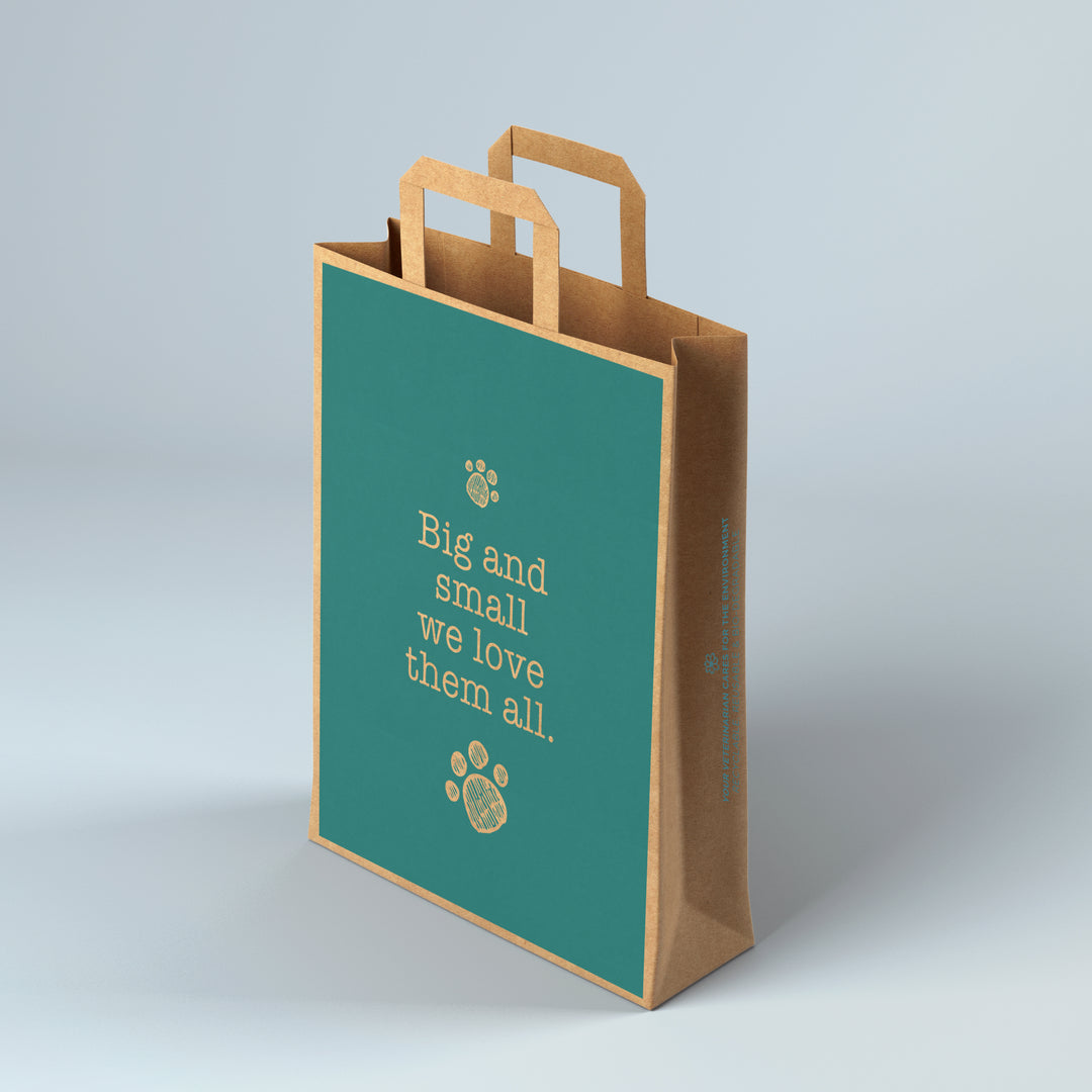 Big &amp; Small Paper Carry Bag