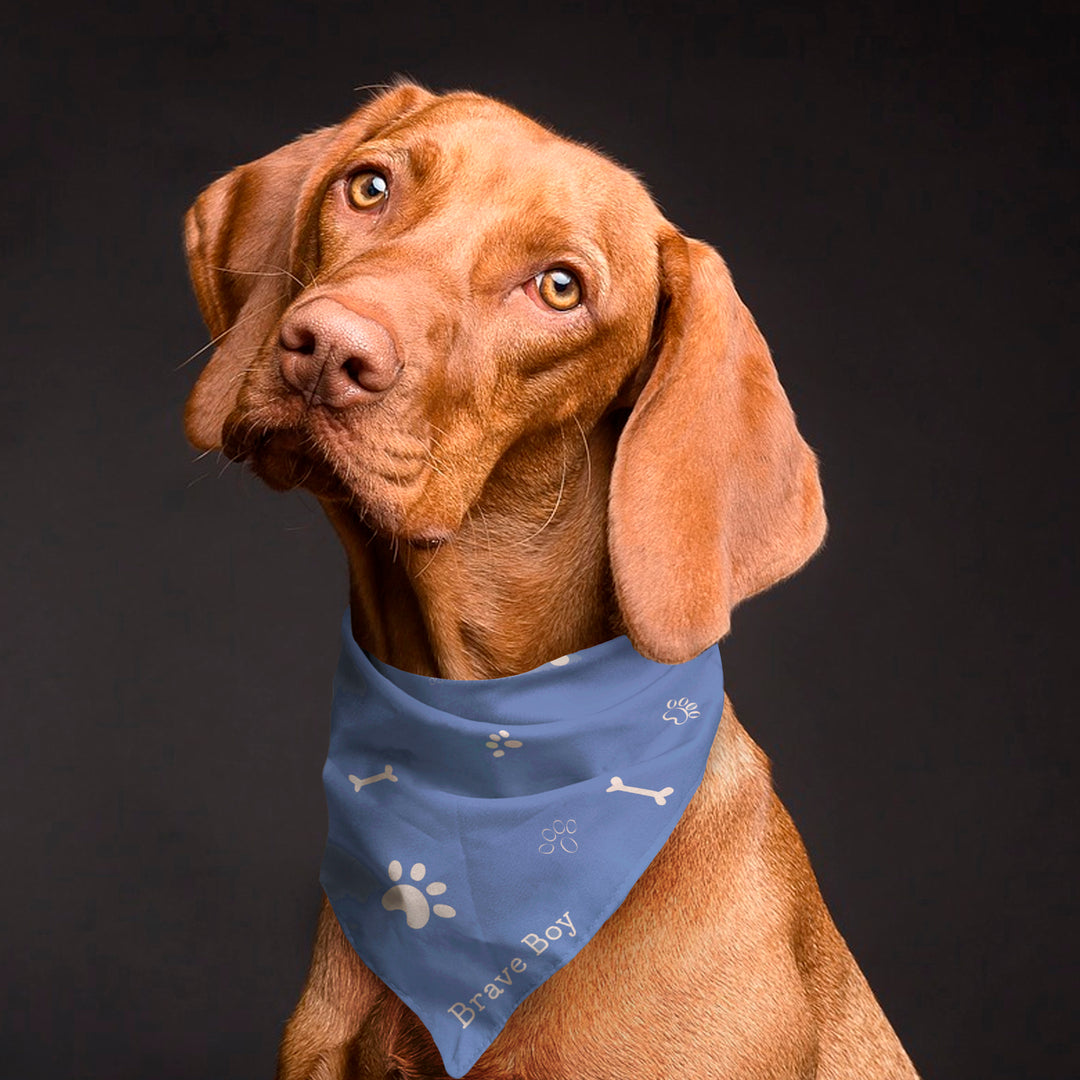 Bandanas - Pastel Coloured Set of 4