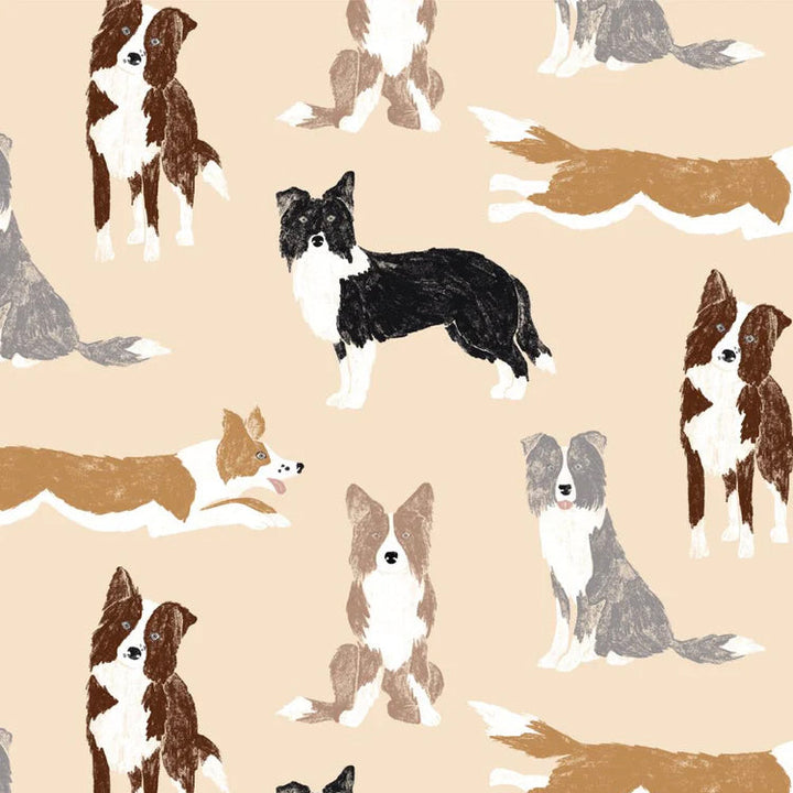 Dr Woof Women&