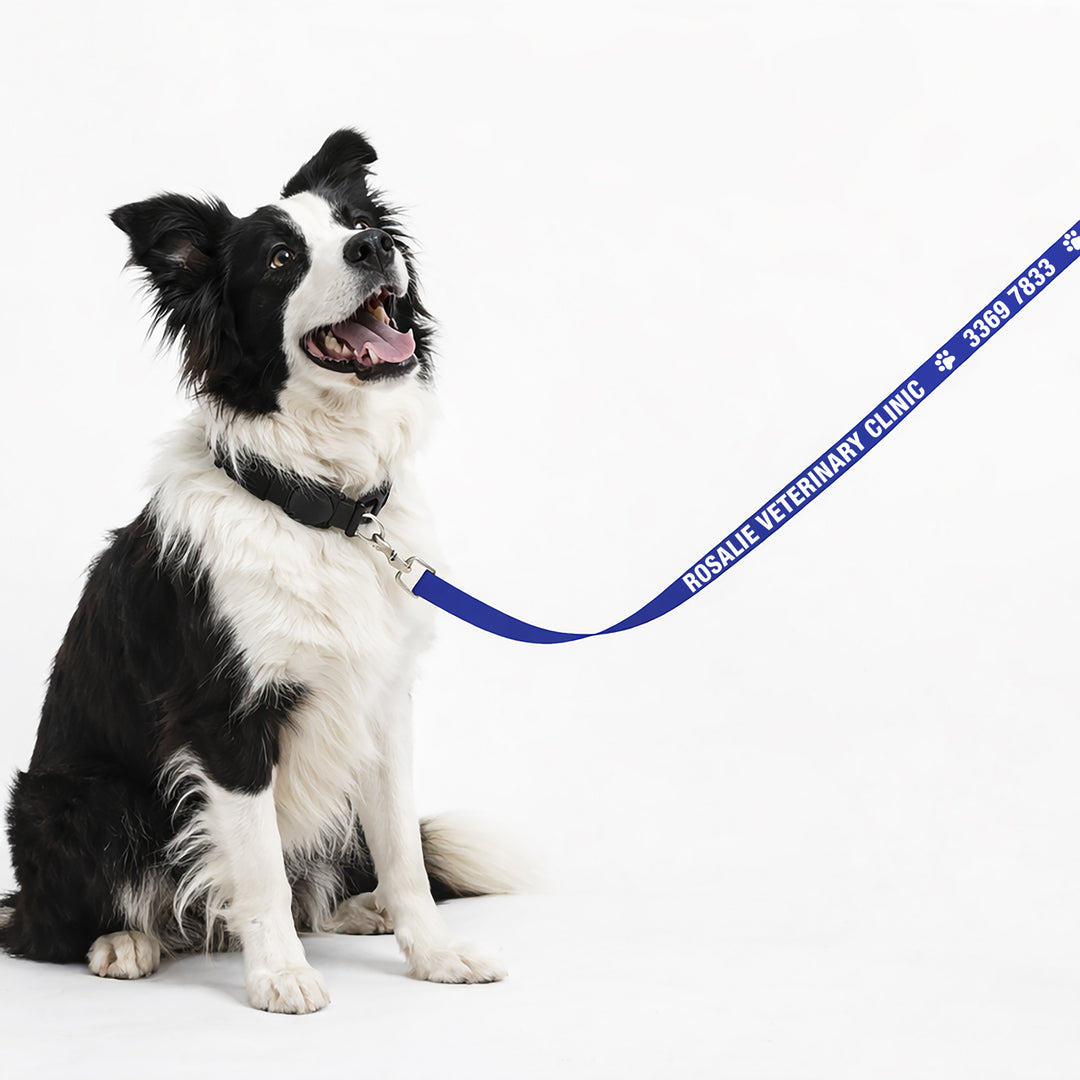 Dog Leads - Custom Screenprinted