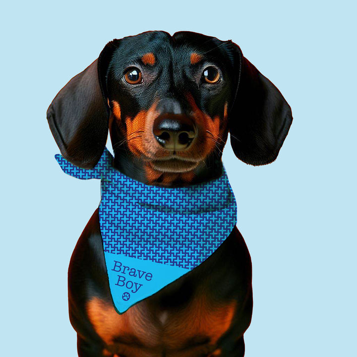 BRAVE BOY BANDANAS - BLUE WHOLESALE (100 Min)