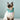 Christmas Bandana – Santa's Little Helper (Small)
