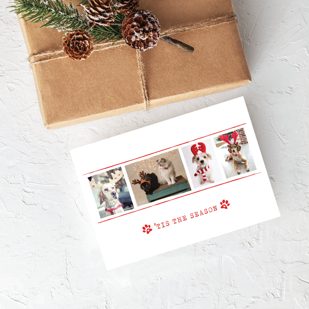 Blank Christmas Card - Tis The Season 1 (10 Pack)