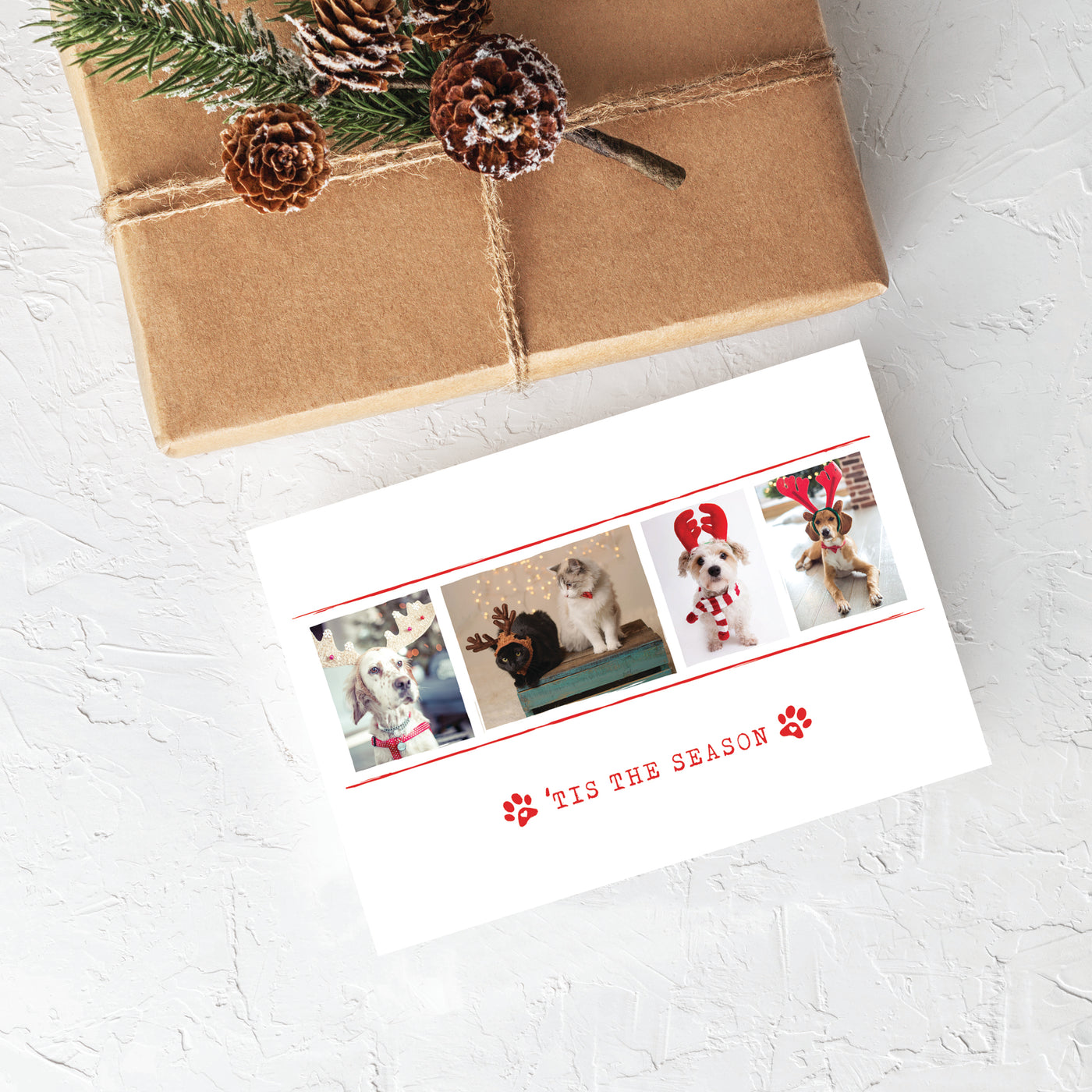 Blank Christmas Card - Tis The Season 1 (10 Pack)