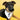 Puppy Graduate Bandana - Black & Gold