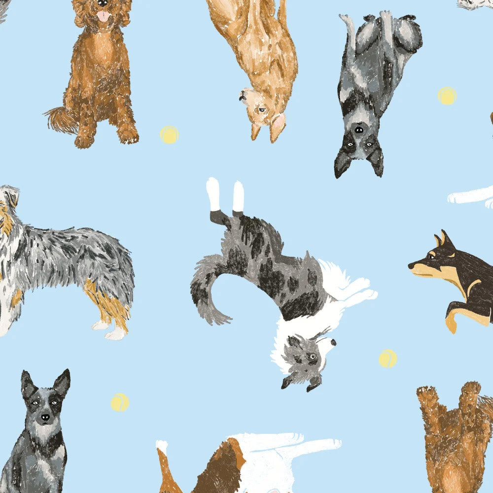 Dr Woof Women&