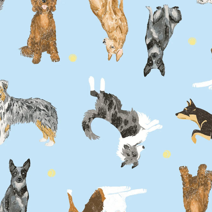 Dr Woof Women&