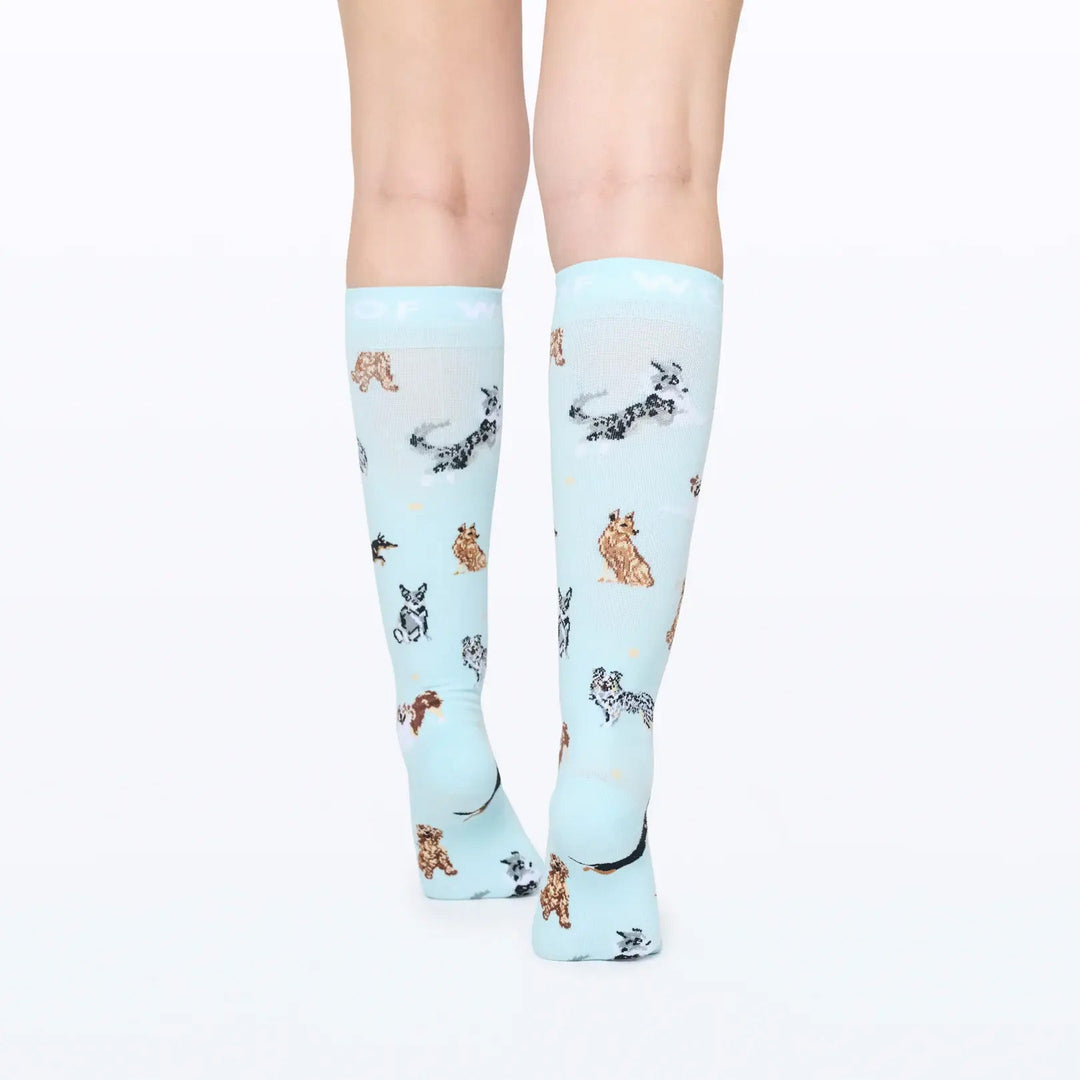Dr Woof Compression Socks - Down Under Dogs