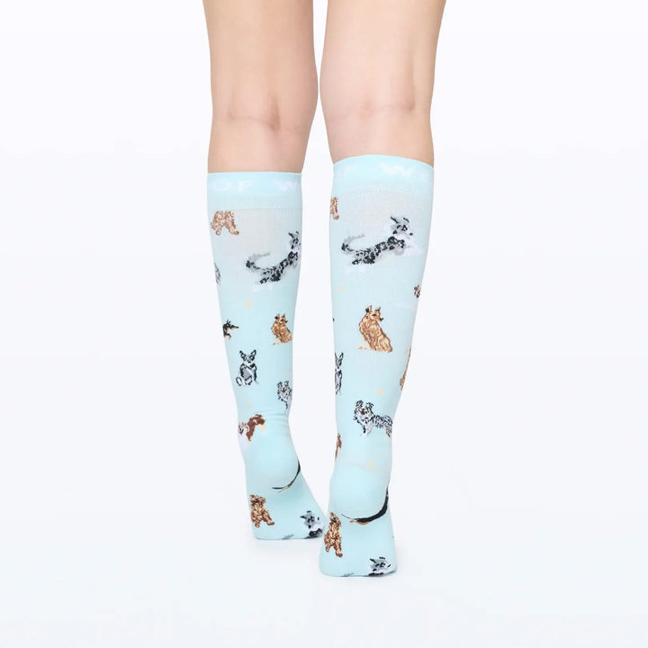 Dr Woof Compression Socks - Down Under Dogs
