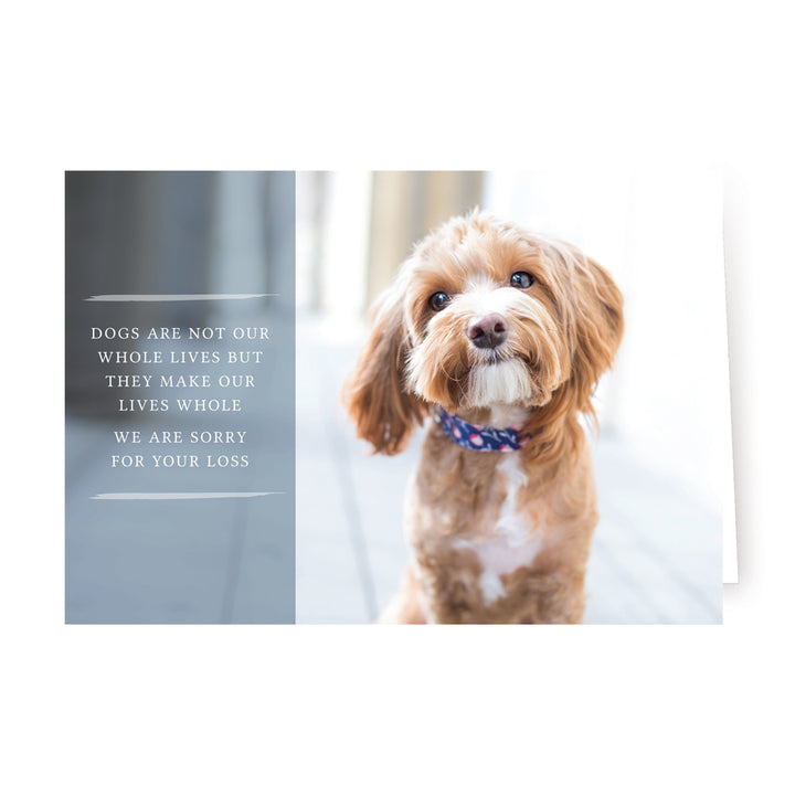 Forever Series  1 - Small Dog - PACKS