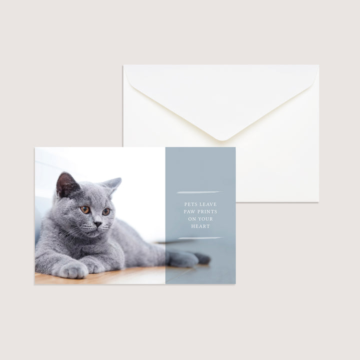 Cat &amp; Dog Variety Pack of 100