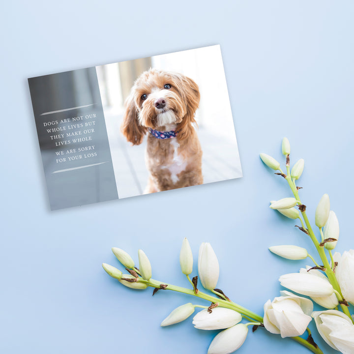 Forever Series  1 - Small Dog - PACKS