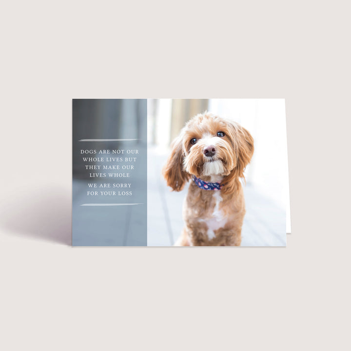 Forever Series  1 - Small Dog - PACKS
