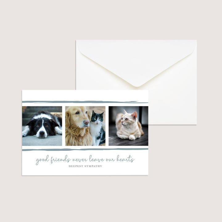 Good Friends Series 6 - Cat &amp; Dog - PACKS
