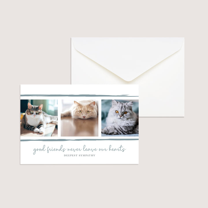 Good Friends Series 5 - Cat - PACKS