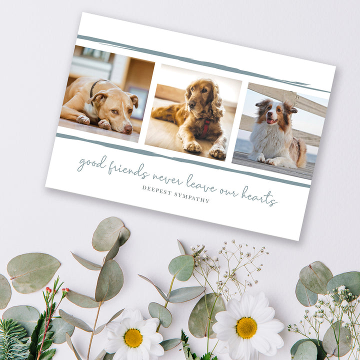 Good Friends Series 4 - Dog - PACKS