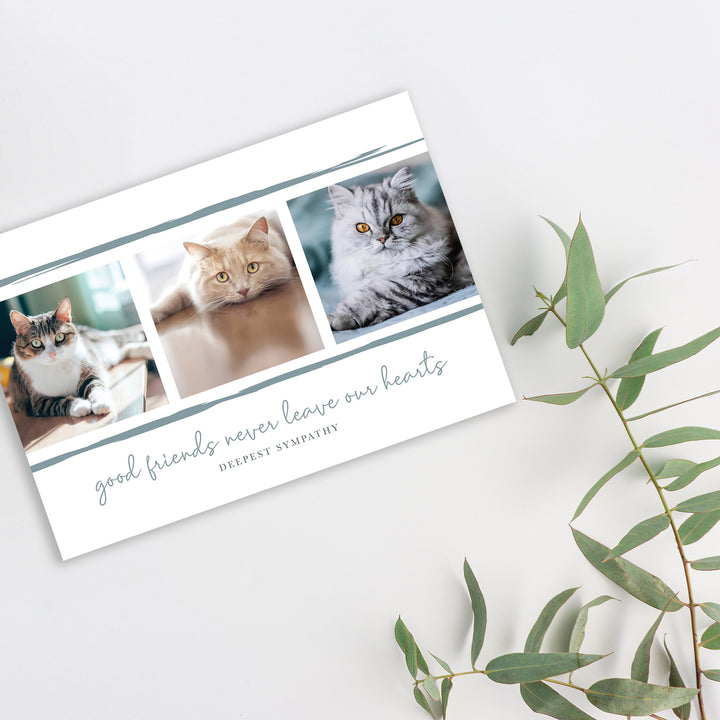 Good Friends Series 5 - Cat - PACKS