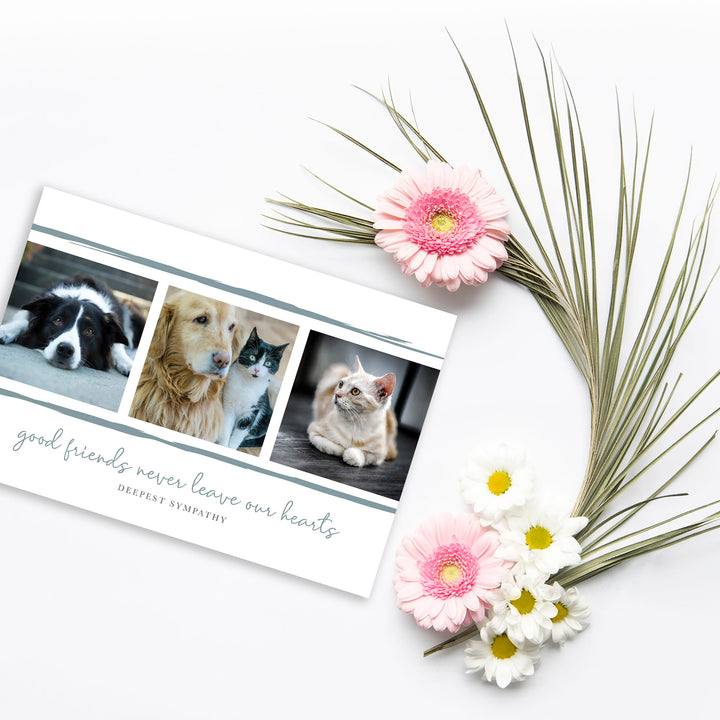 Good Friends Series 6 - Cat &amp; Dog - PACKS