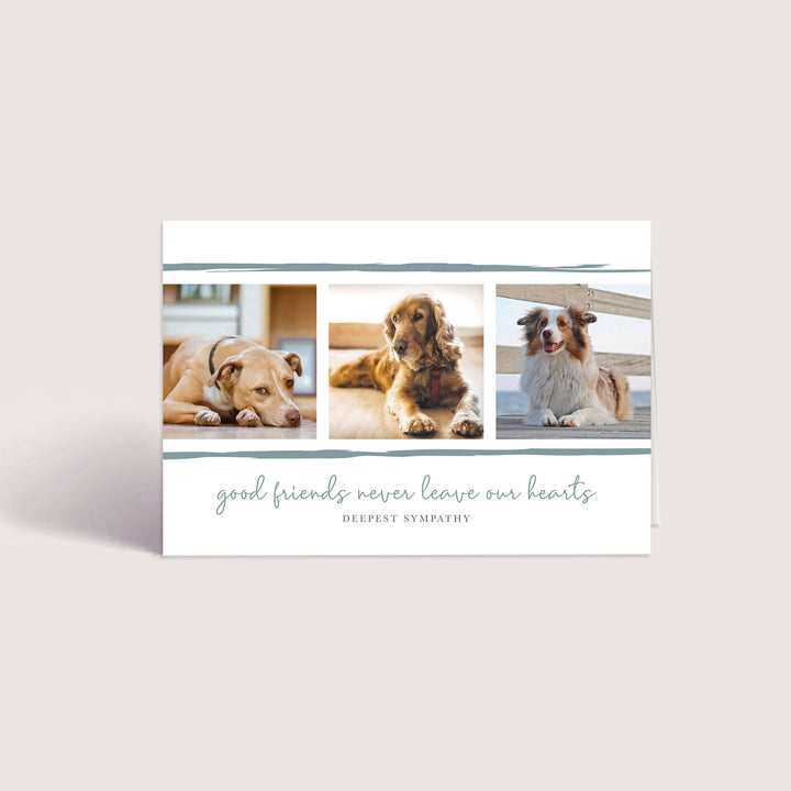 Good Friends Series 4 - Dog - PACKS