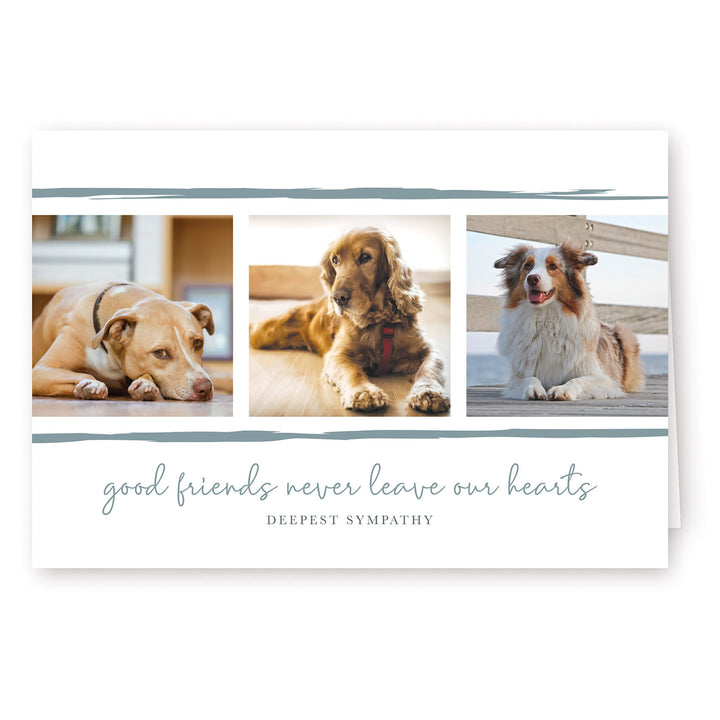 Good Friends Series 4 - Dog - PACKS