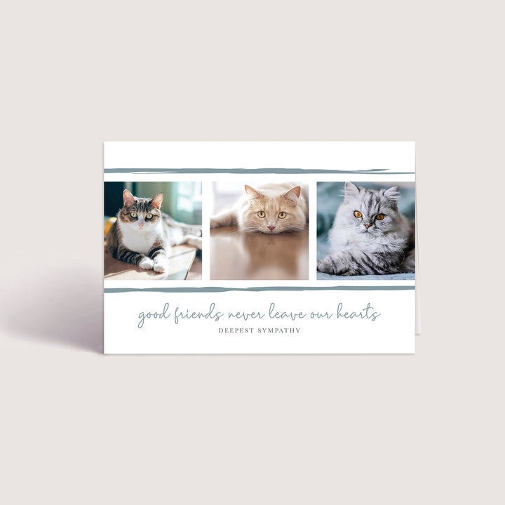 Good Friends Series 5 - Cat - PACKS