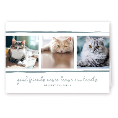 Good Friends Series 5 - Cat - PACKS
