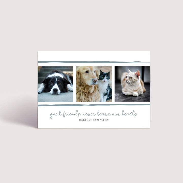 Good Friends Series 6 - Cat &amp; Dog - PACKS