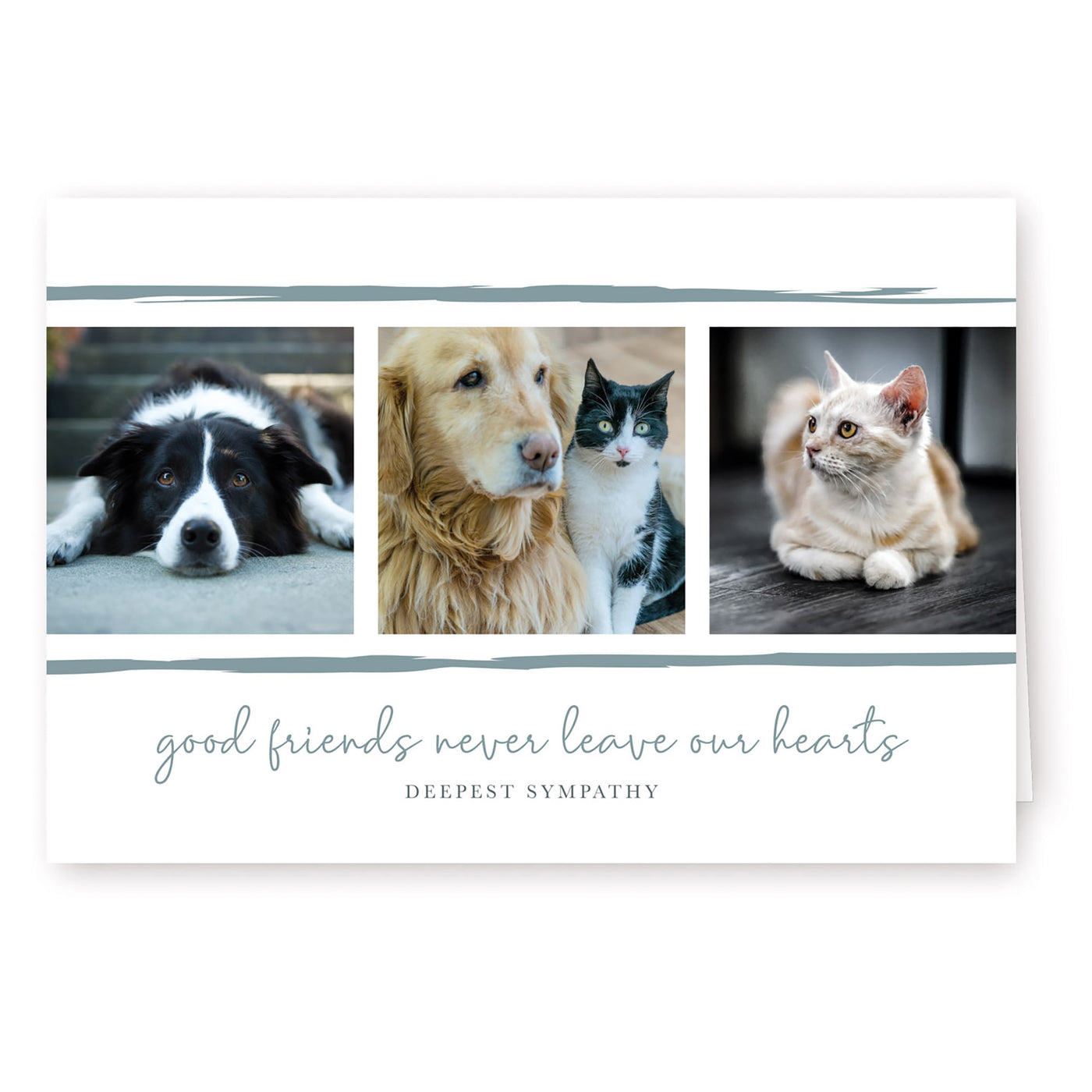 Good Friends Series 6 - Cat & Dog - PACKS