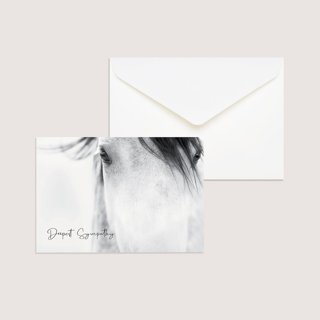 Up Close Series 4 - Horse WHOLESALE (500 MOQ)