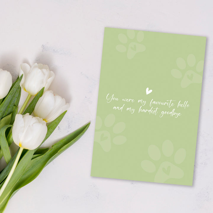 Impression Series 1 - Green - PACKS