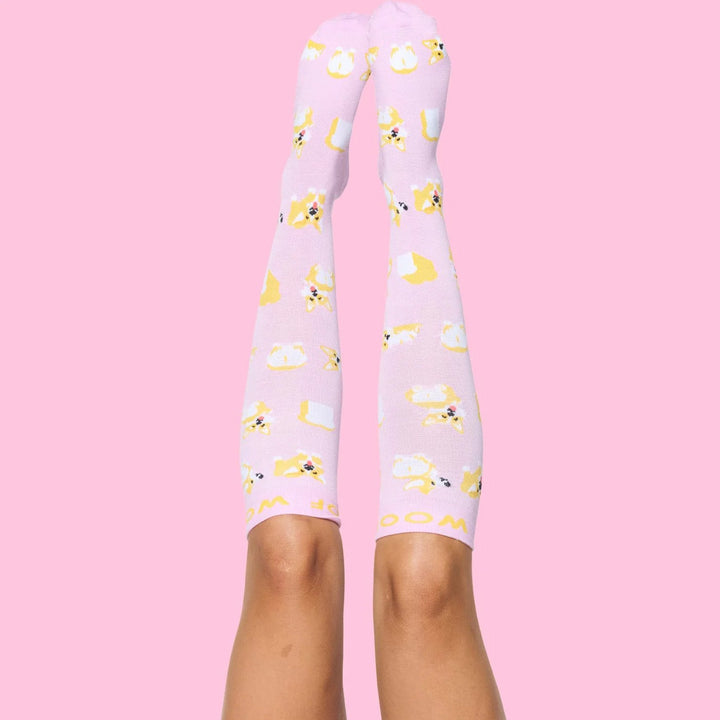 Dr Woof Compression Socks - Loafing Corgis