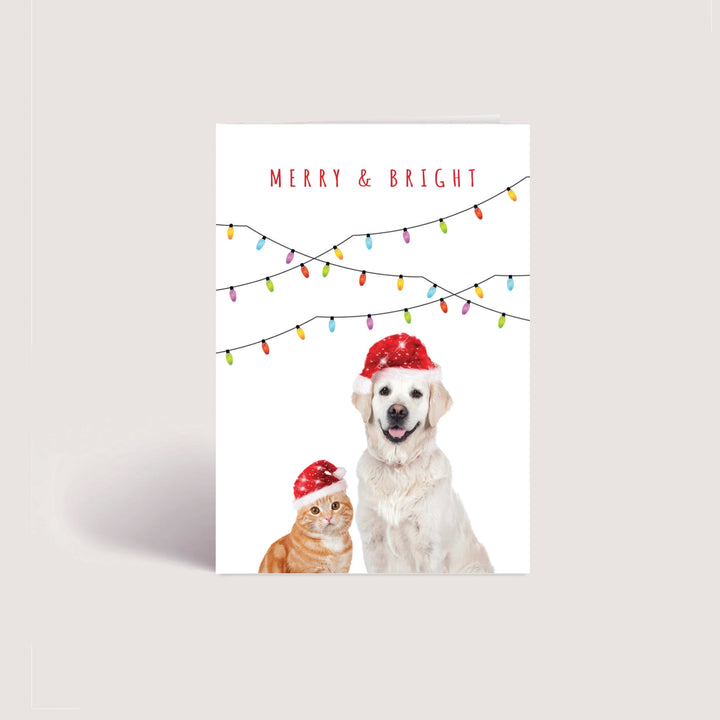 Blank Christmas Card - Merry &amp; Bright (10 Pack)