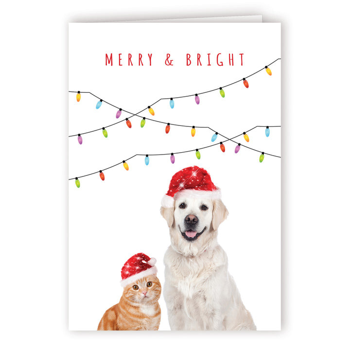 Custom Printed Christmas Card Packs - Merry &amp; Bright
